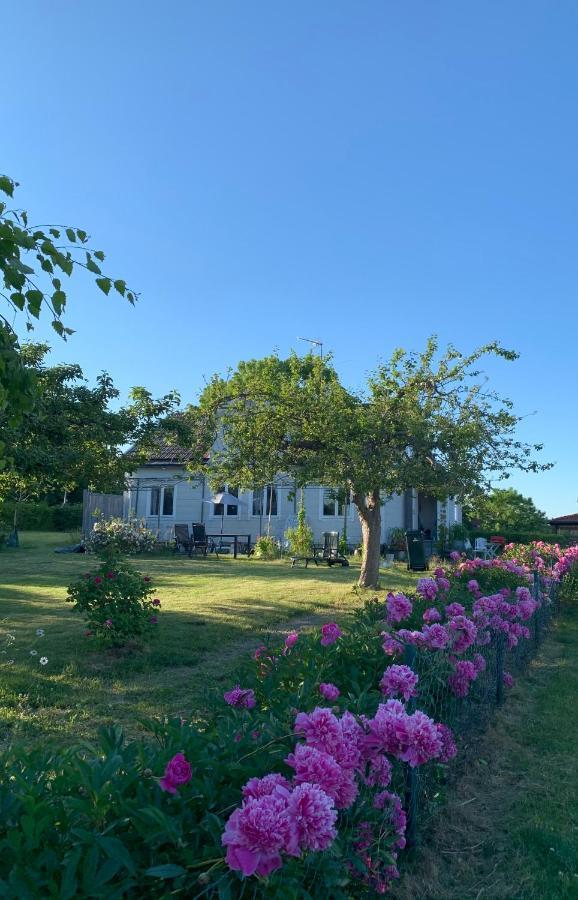 Villagatan Norrtälje Exteriér fotografie